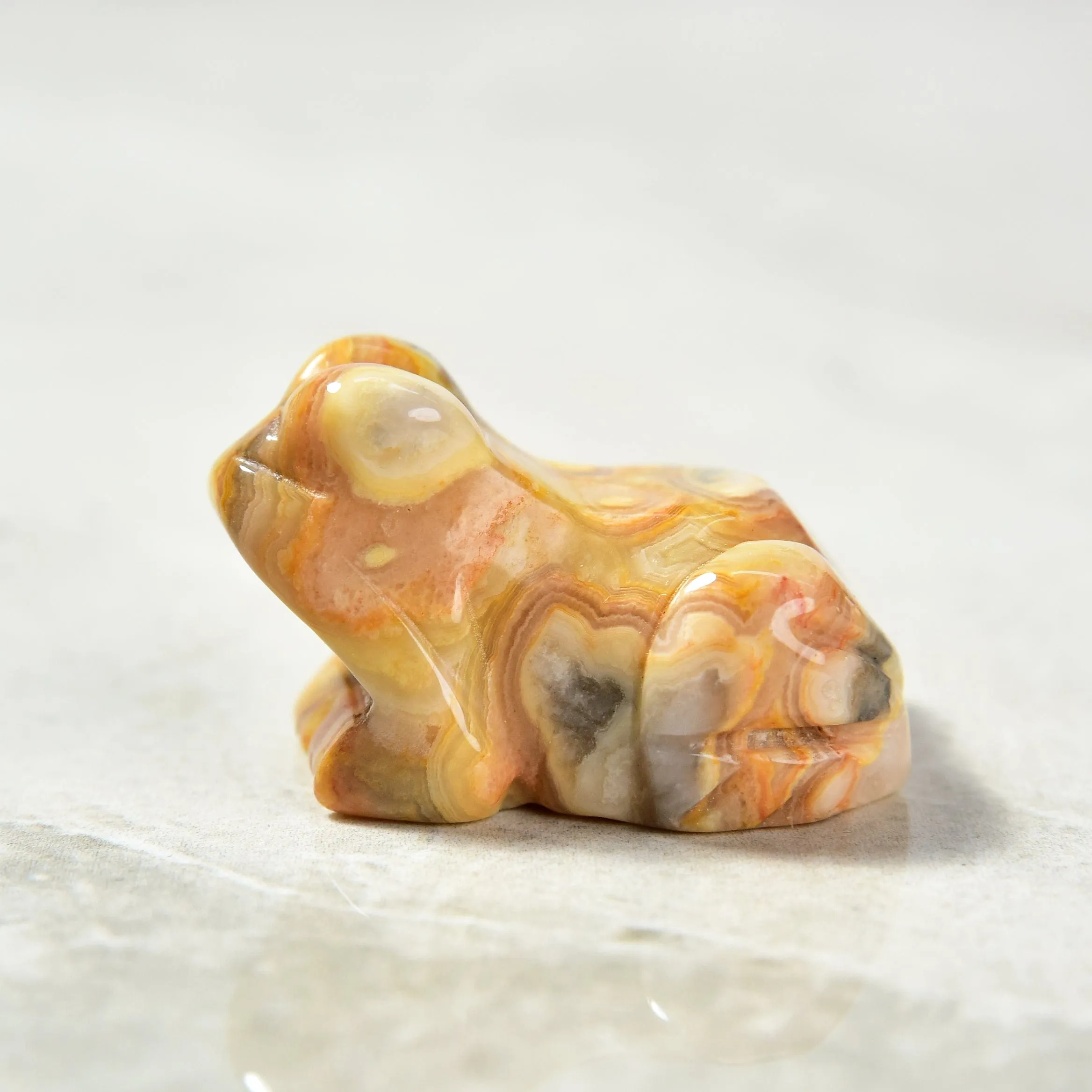 1.5 Crazy Lace Agate Frog Natural Gemstone Carving