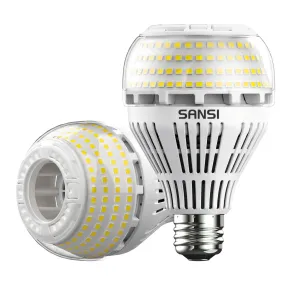 A21 22W LED 3000K/5000K Light Bulb