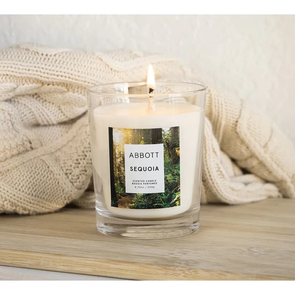 Abbott Sequoia Candle | 6.50oz