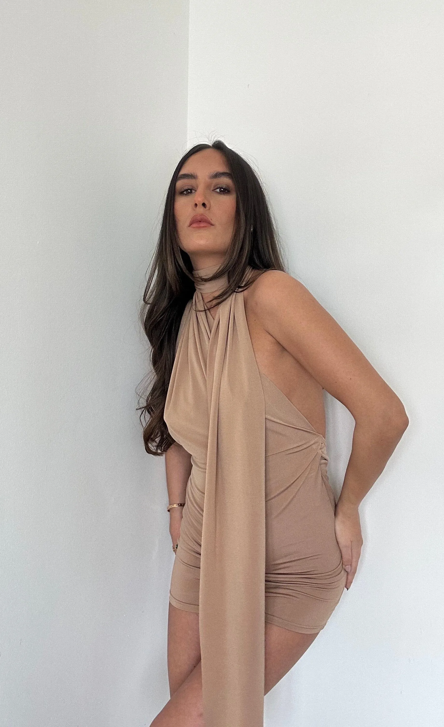 Camel Neck Tie Scarf Dress