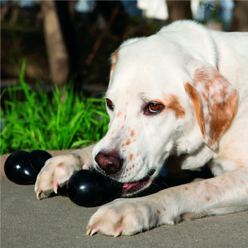 Kong Hueso de Caucho Extreme Negro Juguete para Perro