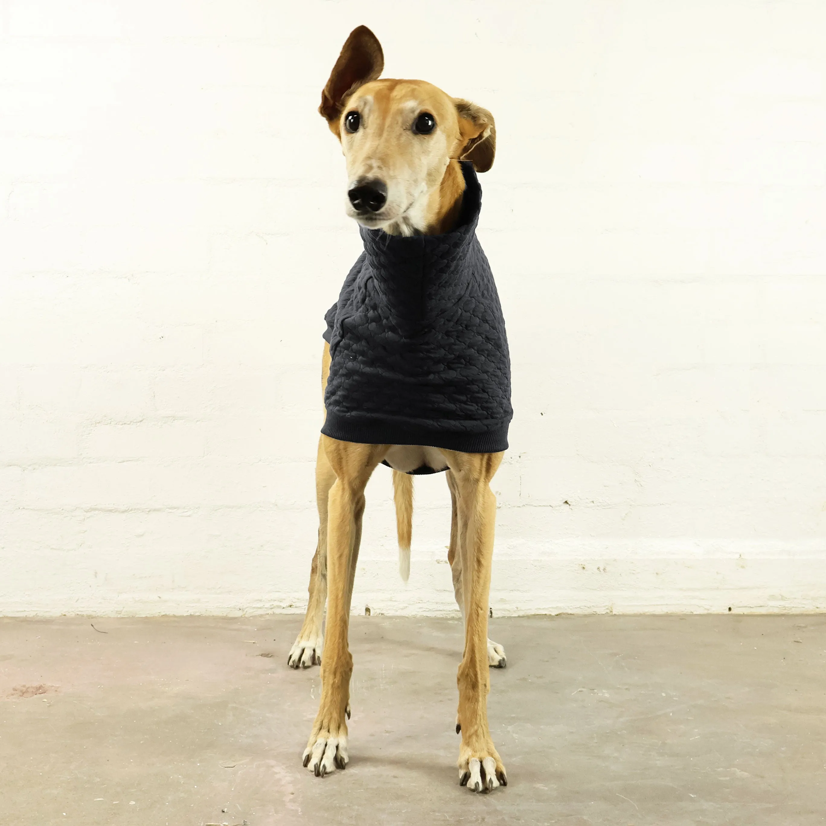 Midnight Greyhound Quilted Sleeveless Sweater