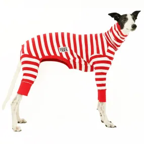 Wally Greyhound Long Johns